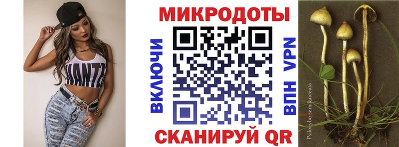Псилоцибиновые грибы прущие грибы  KRAKEN рабочий сайт  Гвардейск 